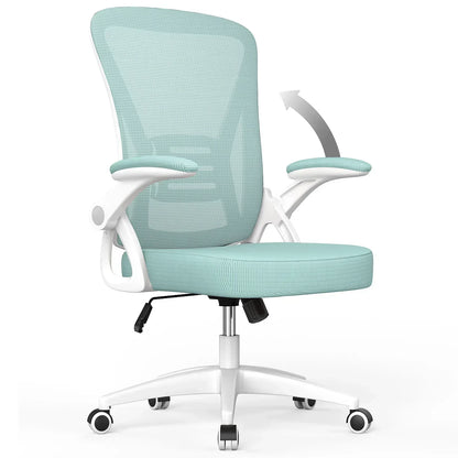 Classic Ergonomic Chair - 2